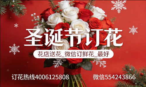 �ٷں鶴�ػ���